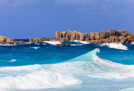 塞舌爾公司逾期年審有什么后果?